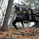 Image for article titled Here's why Google is building a robot army